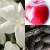 29023f49b7e983bc87b94b60de71ea07